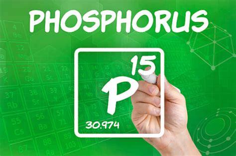  Yellow Phosphorus: Unveiling the Secrets Behind This Reactive Wonder and Its Role in Matchsticks & Fertilizers!