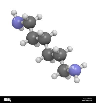  Hexamethylenediamine: A Versatile Building Block for High-Performance Polymers and Specialty Chemicals!