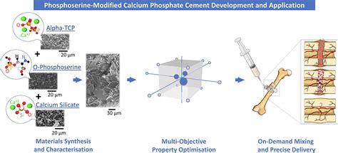  Hydroxyapatite: A Calcium Phosphate Powerhouse for Orthopedic and Dental Applications!